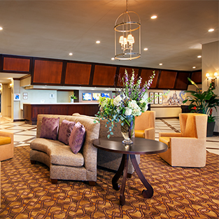 Sheraton Park Hotel at the Anaheim Resort